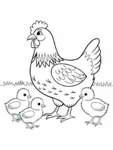 Gallina e pulcini da colorare, stampabile A4